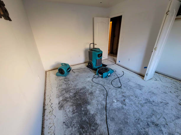 Best Flood damage cleanup  in Aristocrat Ranchettes, CO