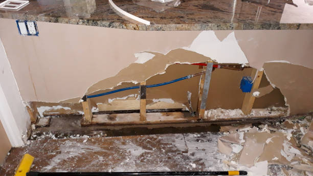Best Ceiling water damage repair  in Aristocrat Ranchettes, CO