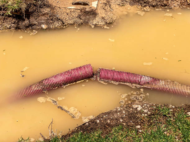 Best Water damage restoration process  in Aristocrat Ranchettes, CO