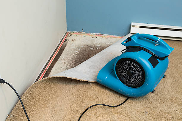 Best Water damage contractors near me  in Aristocrat Ranchettes, CO